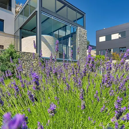 Willa Atalanta With Heated Pool Near The Opatija