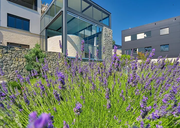 Villa Atalanta With Heated Pool Near The Abbazia